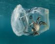 Как The Ocean Cleanup борется с пластиковым загрязнением в океанах