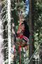 ���������� ������ ���������������� ���� ������ ������������