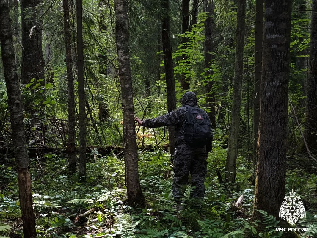 На минувшей неделе спасатели искали в лесах Вологодской области 8 человек