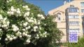 Синоптики рассказали о погоде в Вологодской области