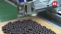 Производство компонентов для интеллектуальных счётчиков открылось в Череповце