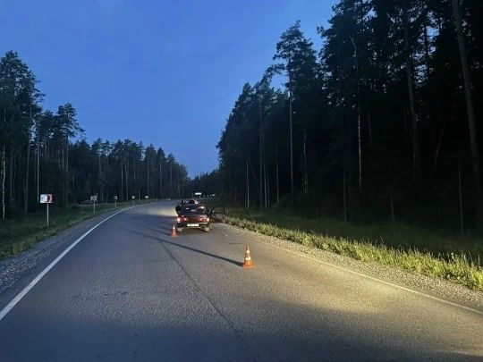 18-летняя девушка пострадала под Череповцом в ДТП со сбитым лосем 18-летняя девушка пострадала под Череповцом в ДТП со сбитым лосем
