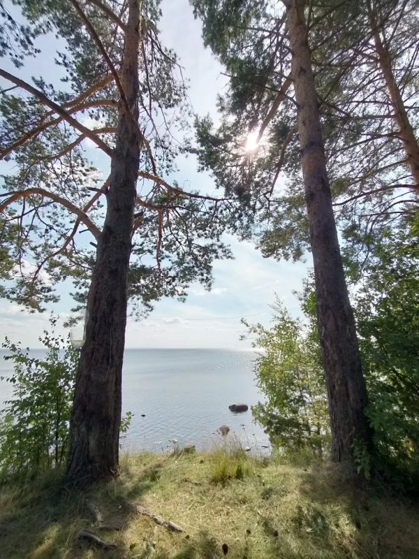 Удивительная летняя красота Вытегорского округа в объективе нашего талантливого оператора Удивительная летняя красота Вытегорского округа в объективе нашего талантливого оператора
