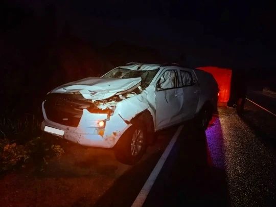 18-летняя девушка пострадала под Череповцом в ДТП со сбитым лосем 18-летняя девушка пострадала под Череповцом в ДТП со сбитым лосем