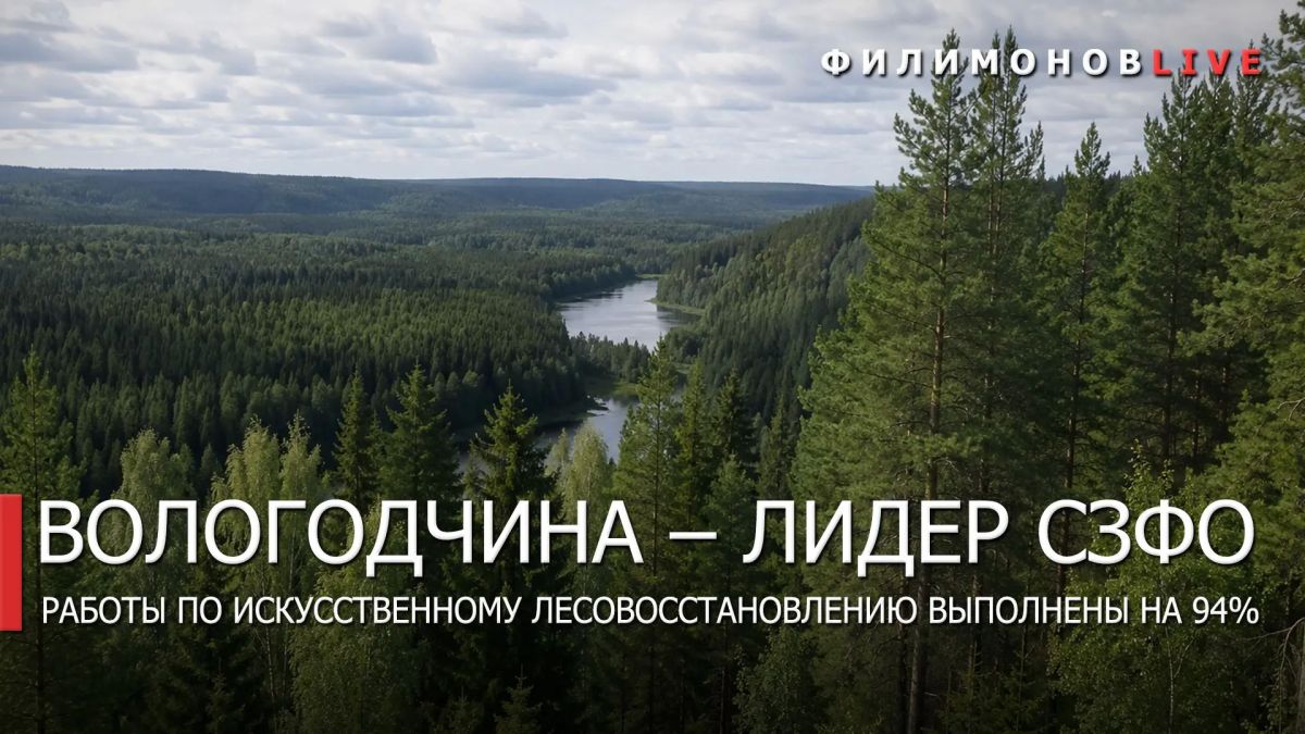 Георгий Филимонов: Вологодская область — лидер Северо-Запада России по искусственному лесовосстановлению