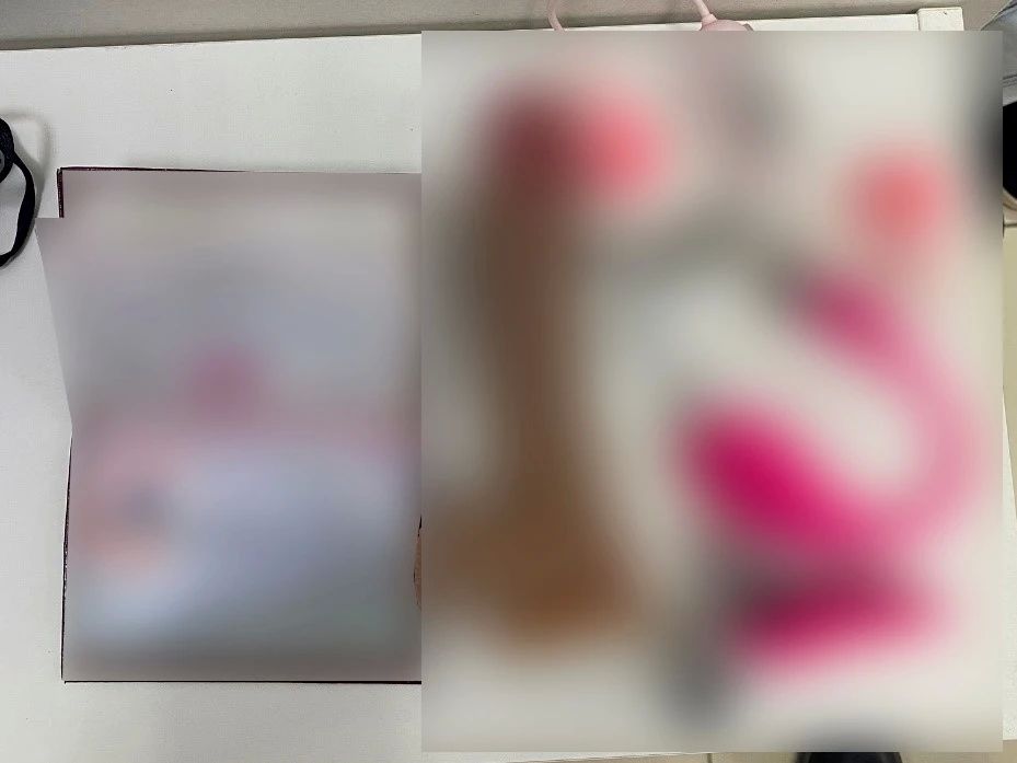 В Вологде полицейские завершили расследование уголовного дела, возбужденного в отношении членов организованной преступной группы, занимавшейся изготовлением и оборотом порнографических материалов В Вологде полицейские завершили расследование уголовного дела, возбужденного в отношении членов организованной преступной группы, занимавшейся изготовлением и оборотом порнографических материалов