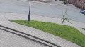 В Череповце полицейские раскрыли угон автомобиля