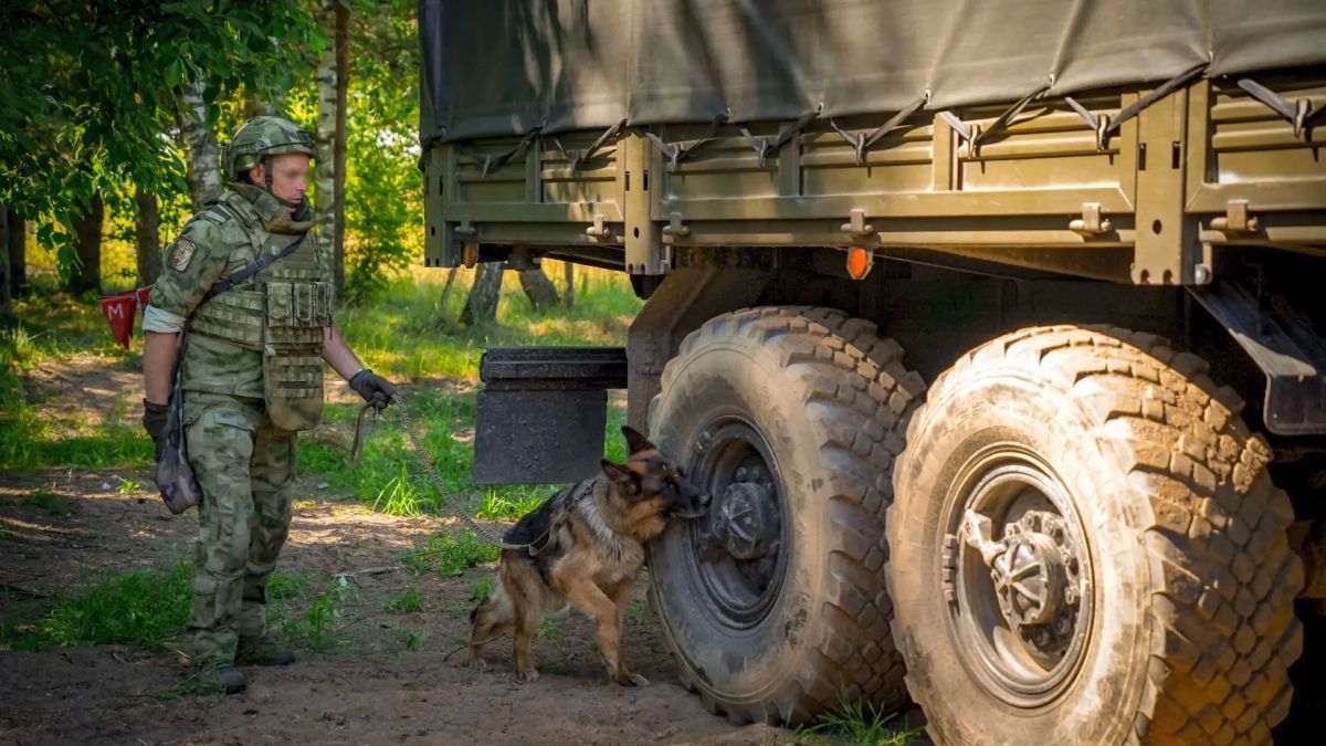 Росгвардеец из Калининграда стал лучшим среди специалистов-кинологов Северо-Западного округа Росгвардии Росгвардеец из Калининграда стал лучшим среди специалистов-кинологов Северо-Западного округа Росгвардии
