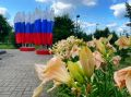 Андрей Накрошаев: Череповец в цвету: более 400 тысяч цветов украшают город этим летом