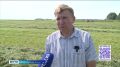 Вологодские сельскохозяйственники уже заготовили половину планового объёма кормов