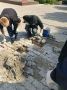 Андрей Накрошаев: Держим руку на пульсе: точечный ремонт помогает сохранять бюджет города