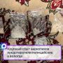 Крупный сбыт наркотиков предотвратили полицейские в Вологде
