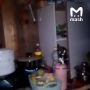 Украинец больше года жил в самодельном бункере под городом Родинское в ДНР