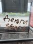 В Вологде полицейские пресекли распространение наркорекламы