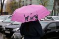 Сильный продолжительный дождь начнётся на Вологодчине в ближайшие часы