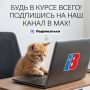 Подписывайтесь на Вологда Регион | 35ТВ в Макс