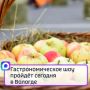 В День Государственного флага на Кремлёвской площади развернутся ярмарка «Яблочно-Медовый спас», фестиваль фудтраков и кулинарное шоу по массовому приготовлению яблочного варенья