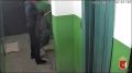 В Череповце украли удочки, телефоны и лодку прямо из квартиры