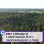 Трое пропавших в вологодских лесах людей вернулись домой