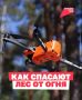 За российскими лесами следят из космоса