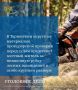 Прокуратура Тарногского района утвердила обвинительное заключение по уголовному делу в отношении 56-летнего местного жителя