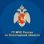 Трое «потеряшек» благополучно вернулись домой