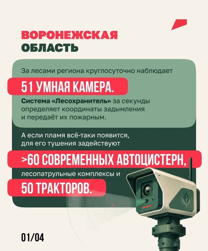 За российскими лесами следят из космоса За российскими лесами следят из космоса