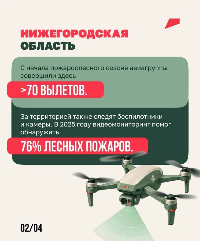 За российскими лесами следят из космоса За российскими лесами следят из космоса