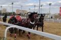 Вологодская тройка выступила на открытии Центрального московского ипподрома