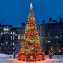 12-метровую ель в красно-золотом убранстве установят в Кремлёвском саду Вологды