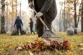 В Вологде стартовал осенний месячник благоустройства