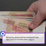 Следственный комитет возбудил уголовное дело в отношении 42-летней жительницы Сокола