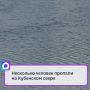 19 сентября две женщины и мужчина отправились на катере «Посейдон» в районе деревни Телячьево