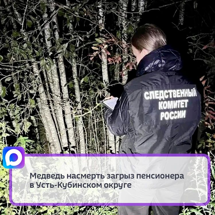 Сотрудники Следственного комитета устанавливают обстоятельства гибели 73-летнего жителя Устья