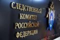 Глава СКР затребовал доклад об исчезновении девочки в секте в Ульяновской области