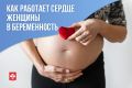 Как работает сердце во время беременности