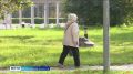 День осеннего одиночества: вологжане рассказали, как они справляются с сезонной хандрой