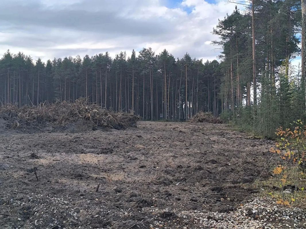 В Верховажье готовят площадку под новую ЦРБ