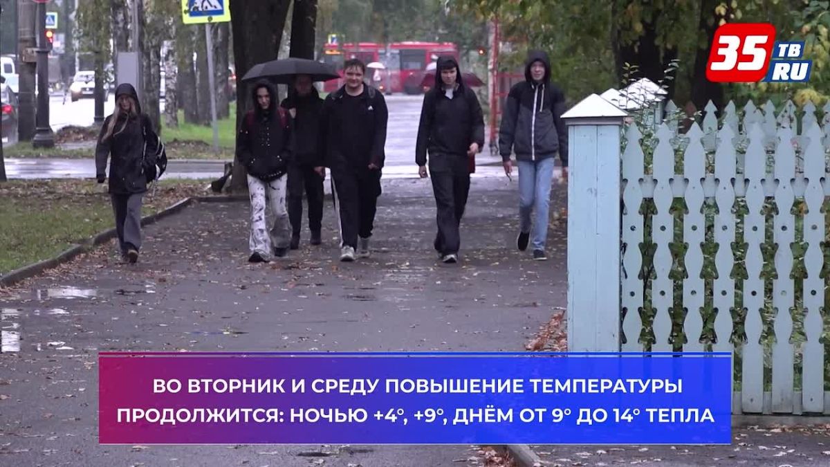 В Вологодской области ночные заморозки сменятся дождями и потеплением