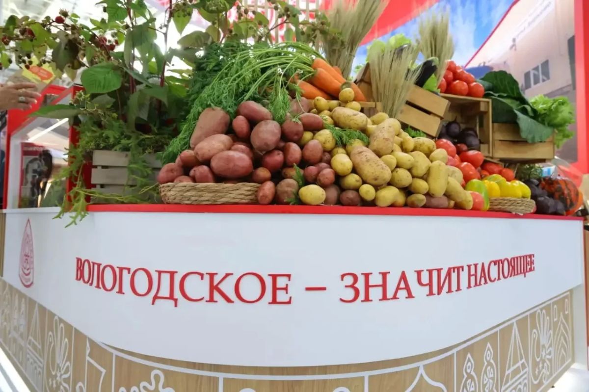 Более 400 наименований вологодской продукции представили на выставке «Золотая осень» в Москве Более 400 наименований вологодской продукции представили на выставке «Золотая осень» в Москве