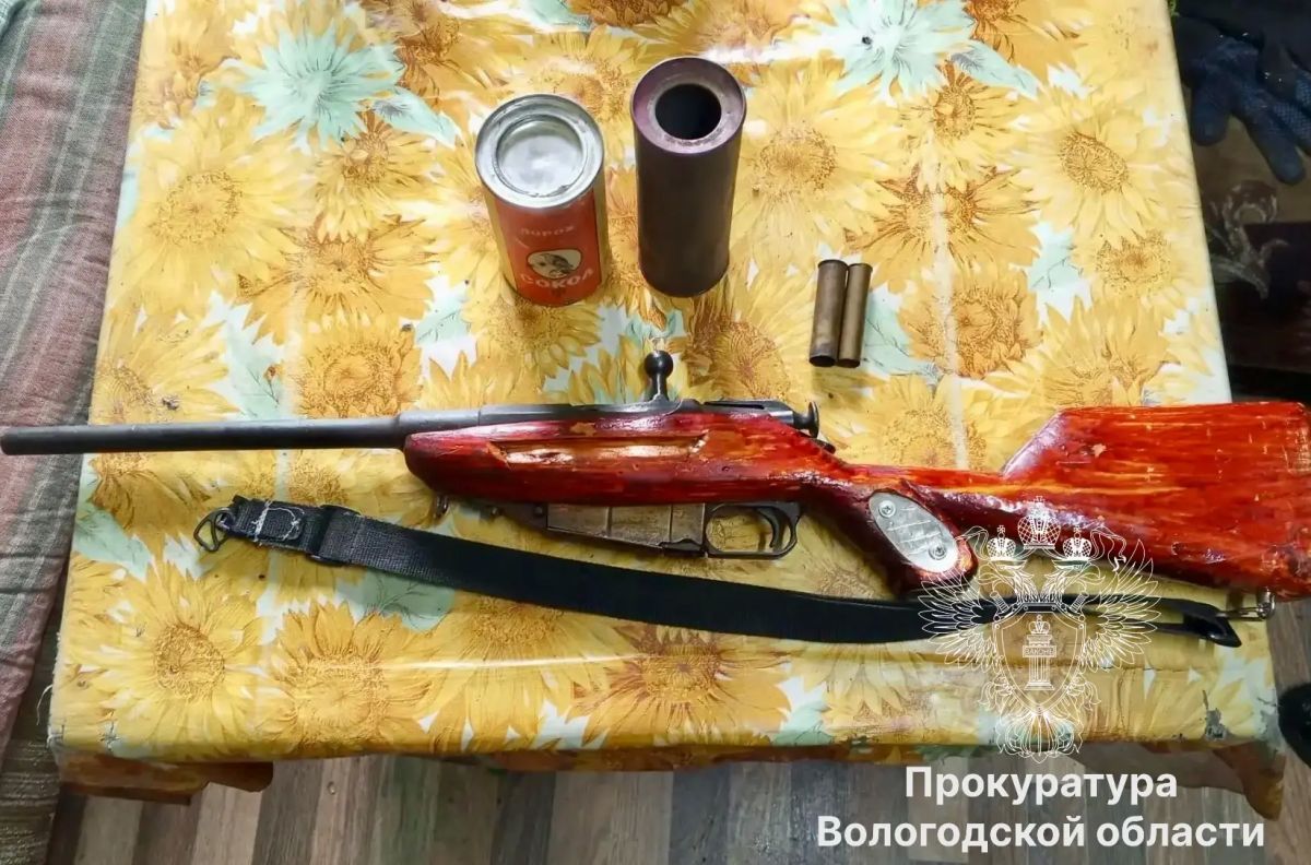 В Вашкинском округе местный житель осужден за незаконный оборот взрывчатых веществ и оружия