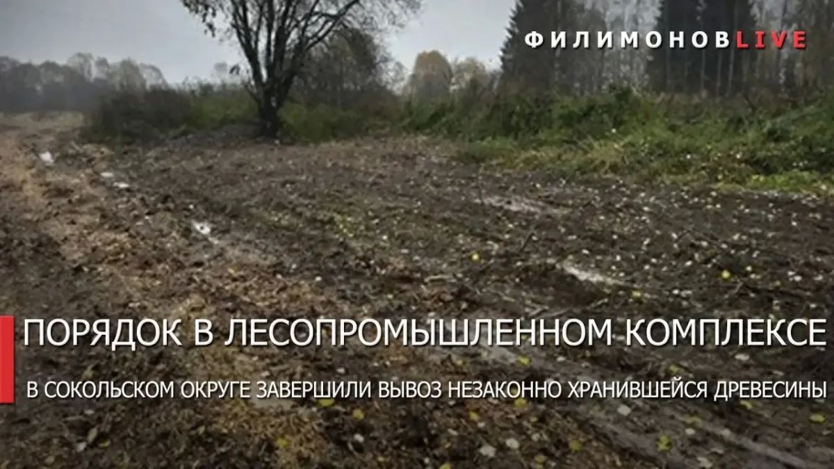 Георгий Филимонов: Незаконно складированную древесину полностью вывезли с сельхозземель в Сокольском округе