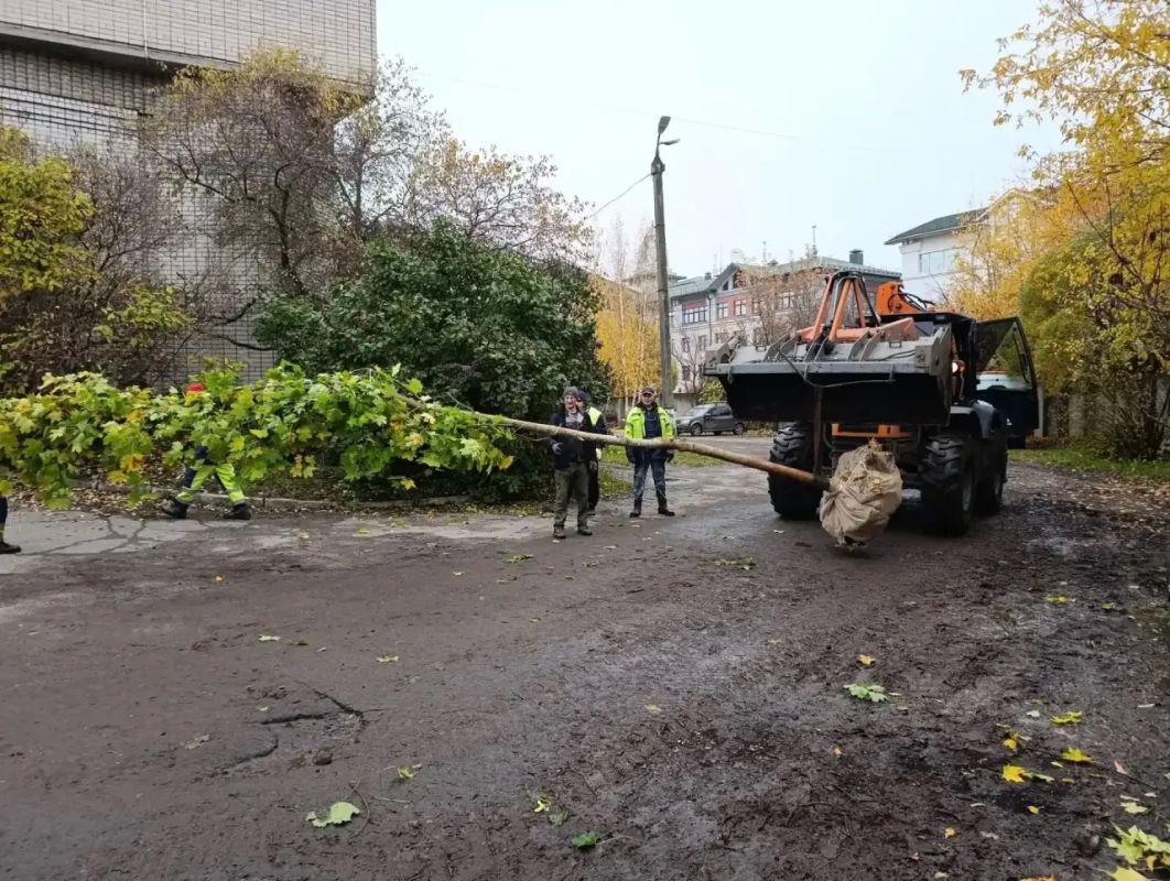 Георгий Филимонов: В Вологду доставили саженцы клёнов и дубов — подарок нашему городу от Санкт-Петербурга Георгий Филимонов: В Вологду доставили саженцы клёнов и дубов — подарок нашему городу от Санкт-Петербурга