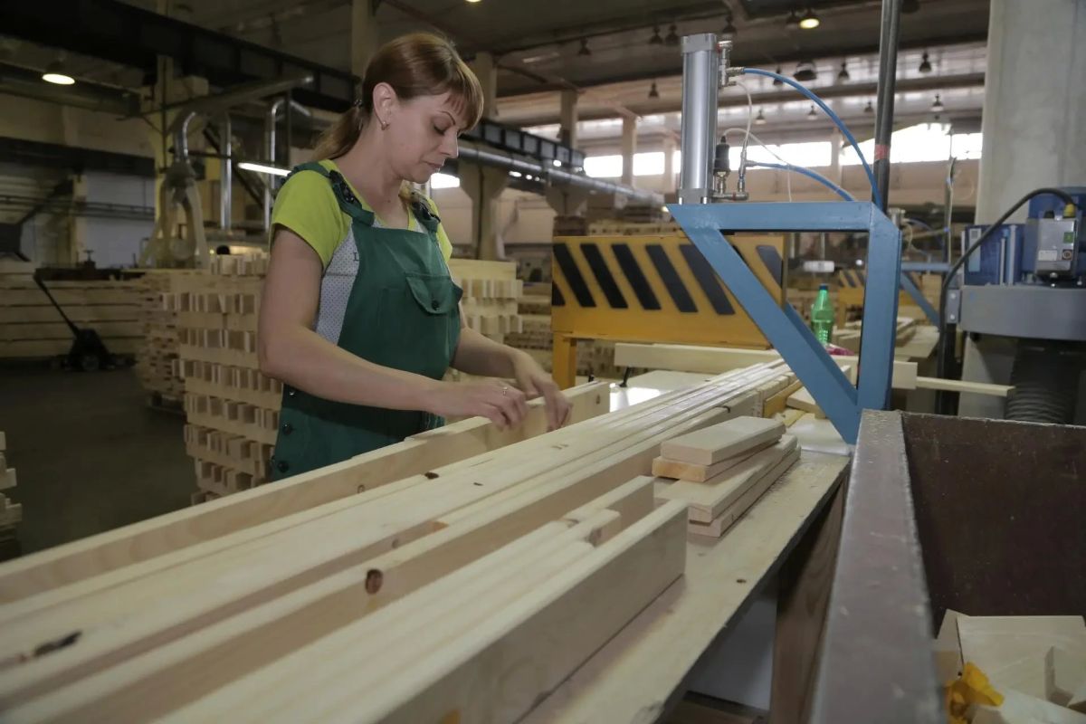 Доходы областного бюджета от использования лесов выросли на 28,6%