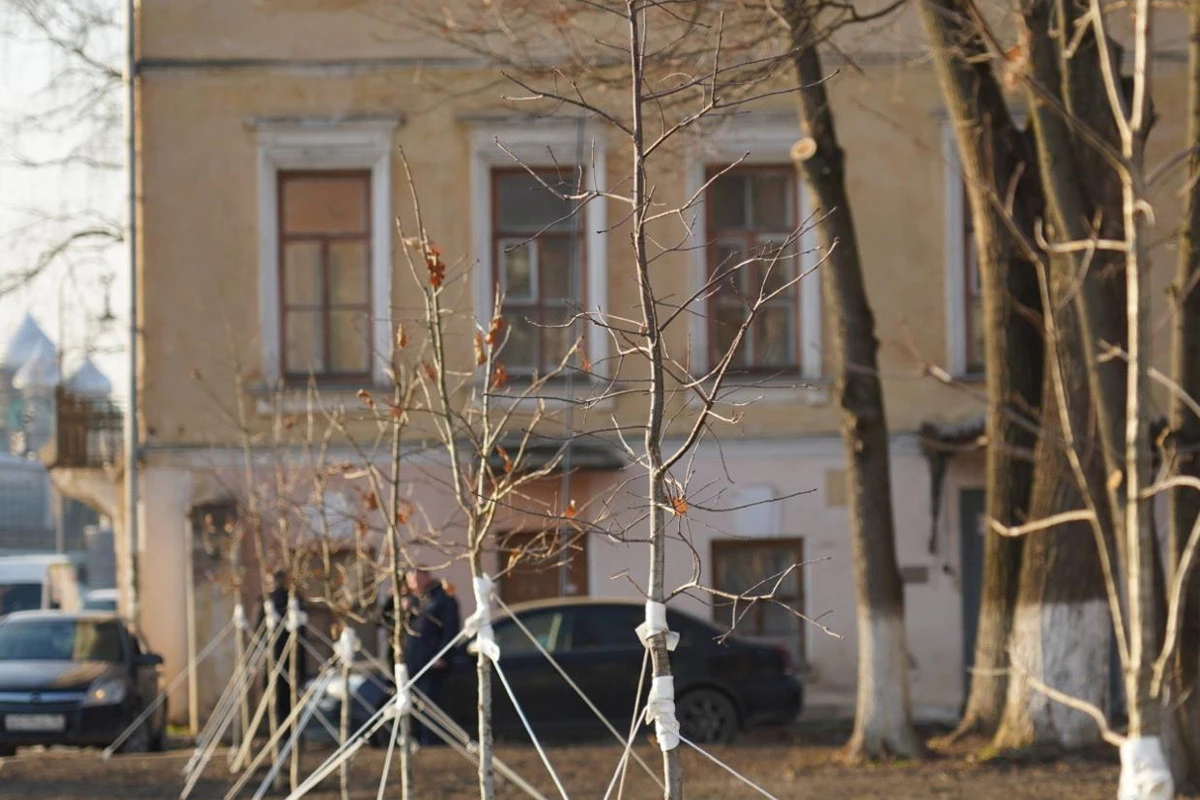 В Вологде продолжается благоустройство набережной