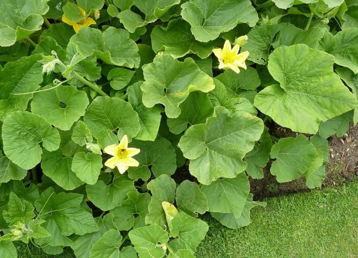 ��� �������� ������ ������ ������� � ������� ���������� ���������