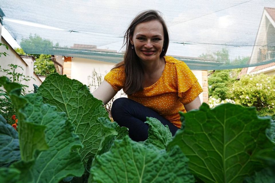 ���� � �������: ������ �������� �� ���� � ��������