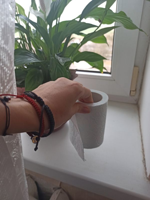 Как туалетная бумага поможет сохранить тепло в вашем доме