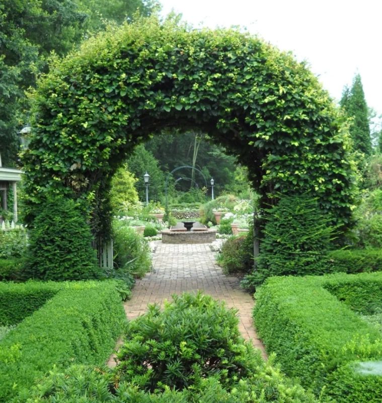 Создайте уютные зелёные беседки и берсо для своей дачи