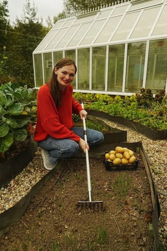 Как правильно расположить грядки: советы дачного эксперта